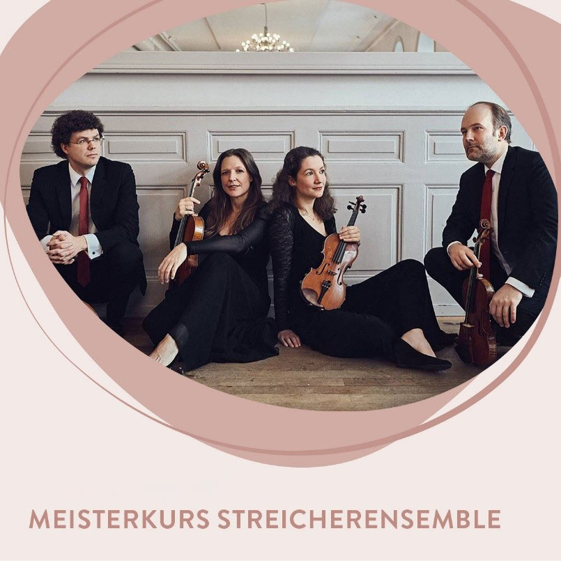 Meisterkurs Streicherensemble Musikschule Pinneberg