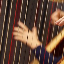 Harfenworkshop am 23. und 24.November 2019 mit einem öffentlichem Abschlusskonzert